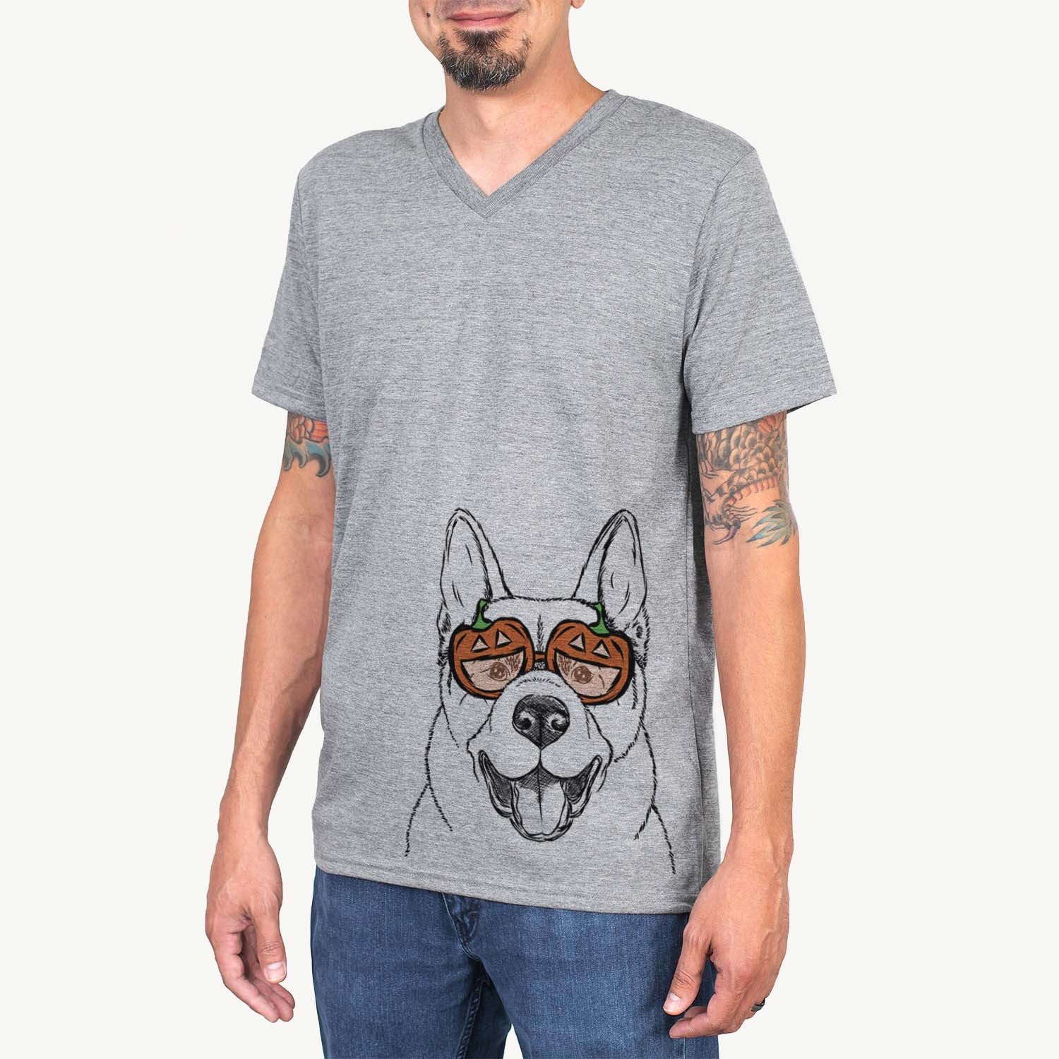 Baku the Akita  - Pumpkin Collection