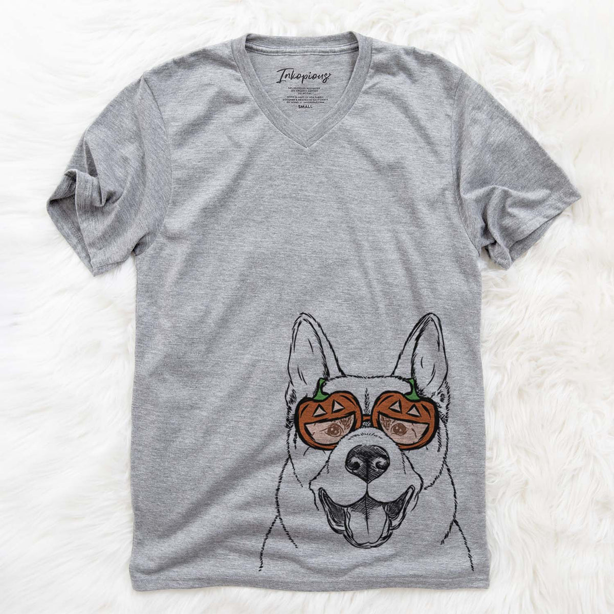 Baku the Akita  - Pumpkin Collection