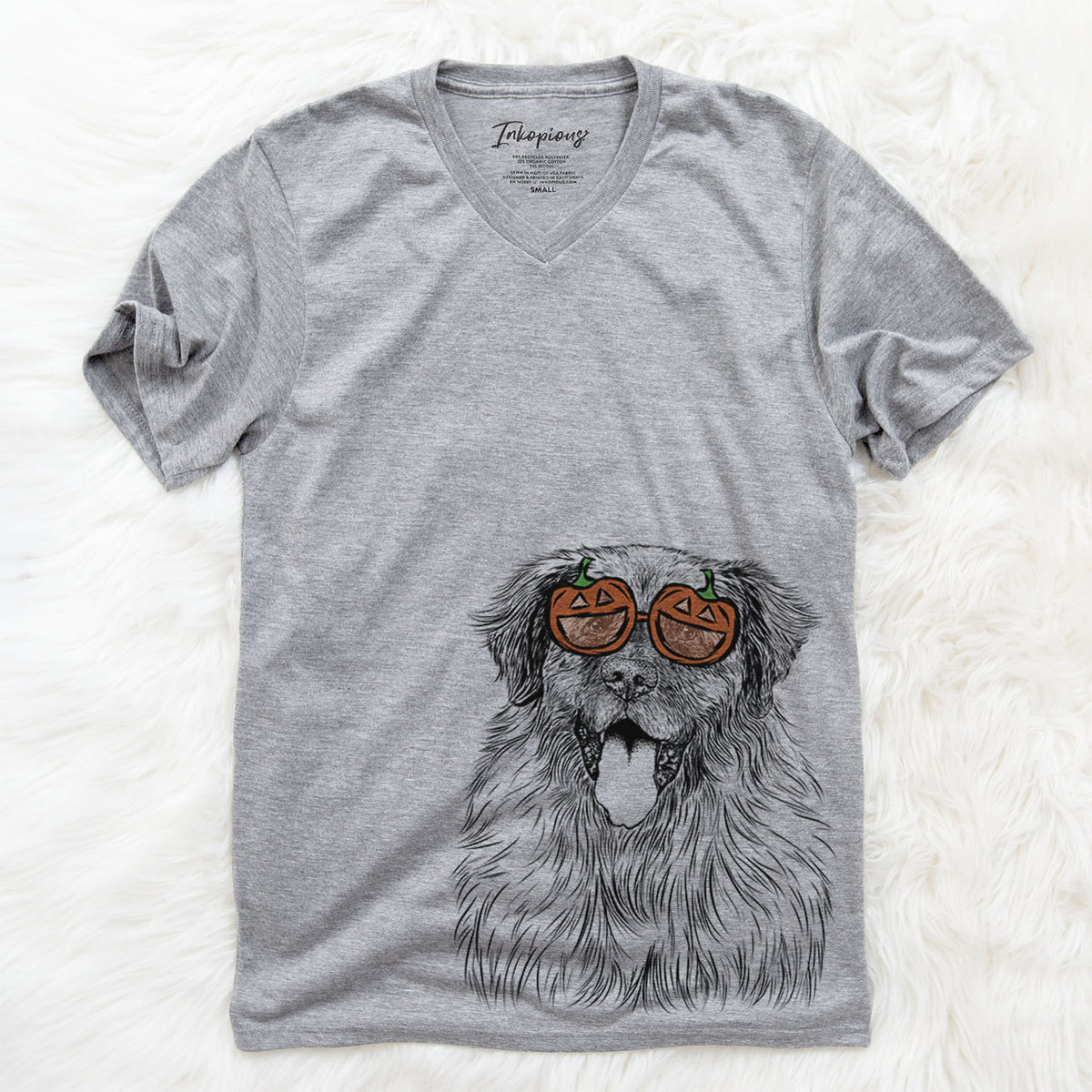 Bamboo the Leonberger  - Pumpkin Collection