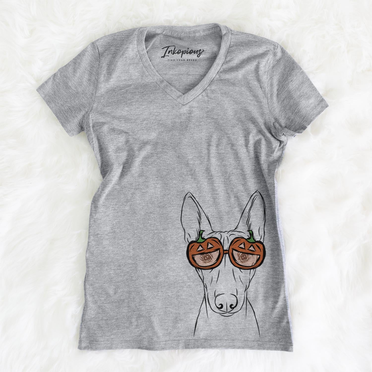 Bonsai the Basenji  - Pumpkin Collection