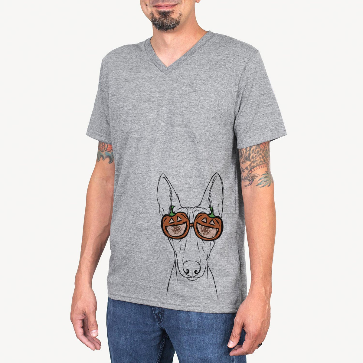 Bonsai the Basenji  - Pumpkin Collection