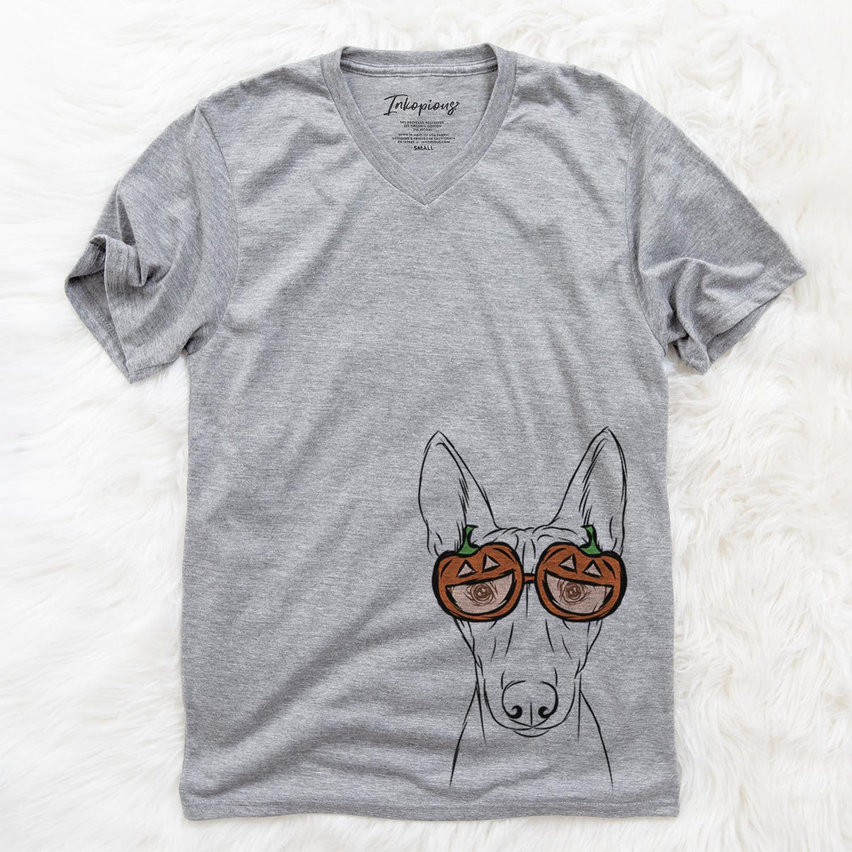 Bonsai the Basenji  - Pumpkin Collection