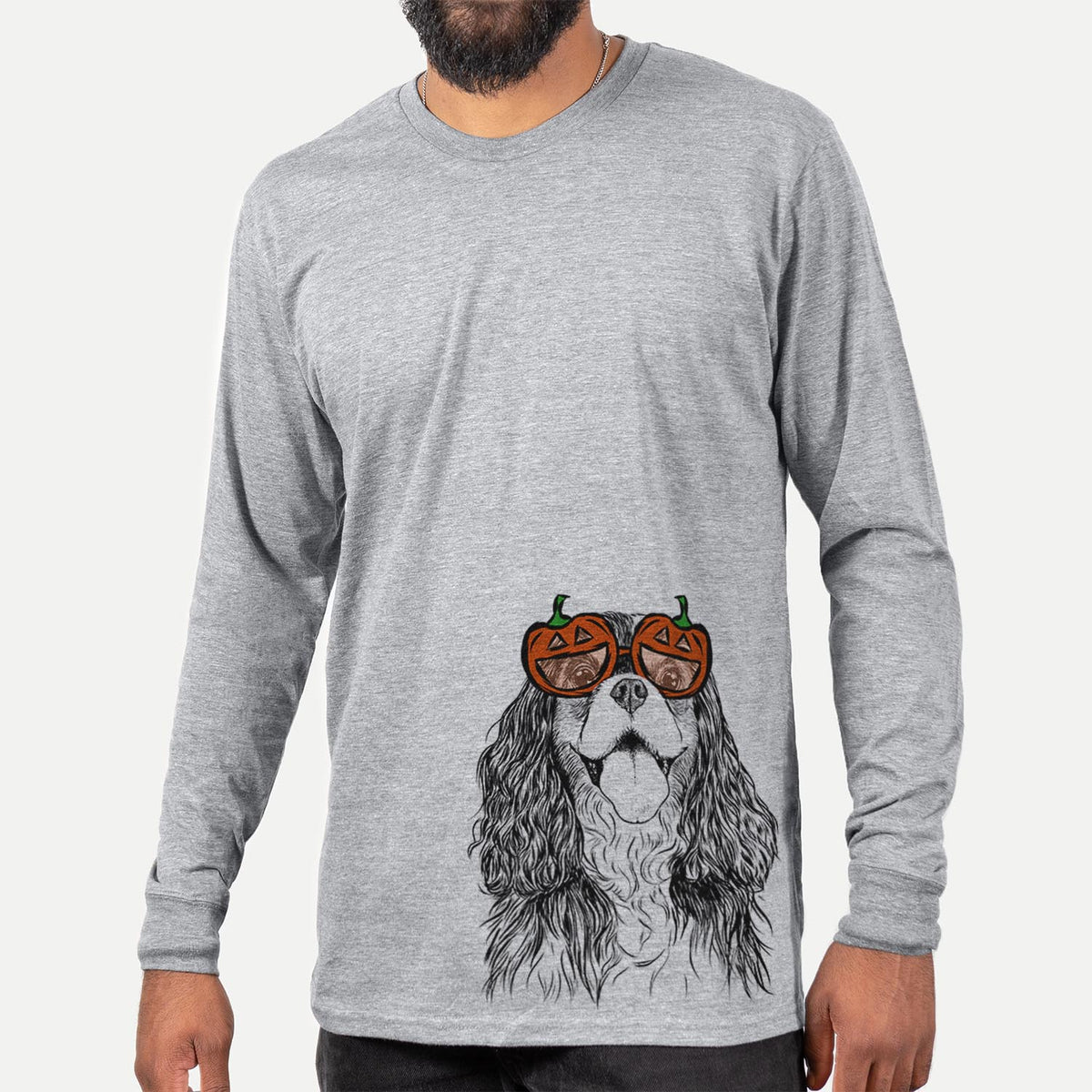 Brandy the Cavalier King Charles Spaniel  - Pumpkin Collection