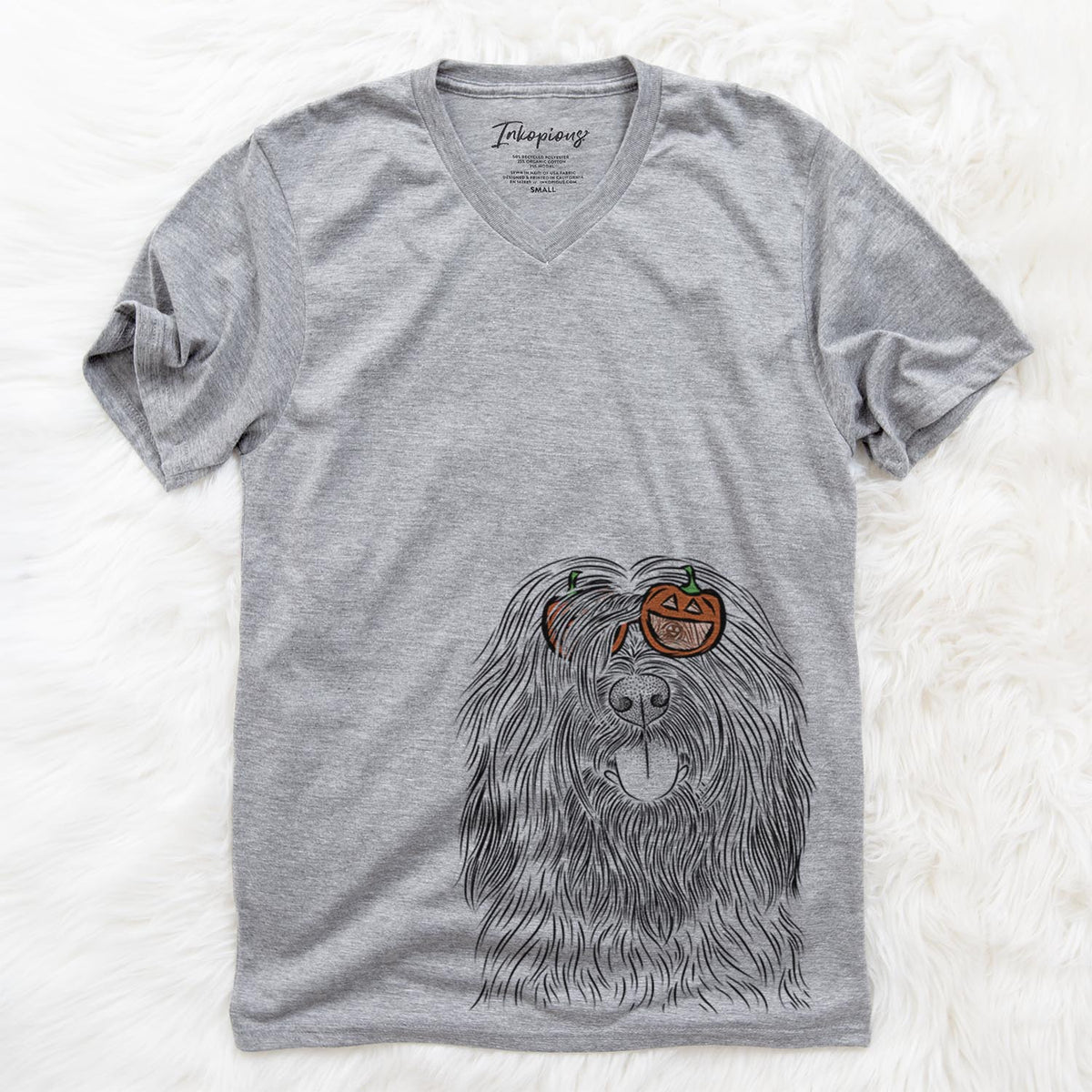 Bundy the Briard  - Pumpkin Collection