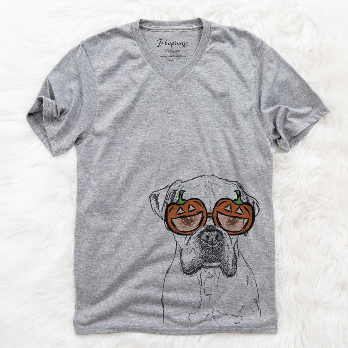 Champion Bentley the Boxer  - Pumpkin Collection