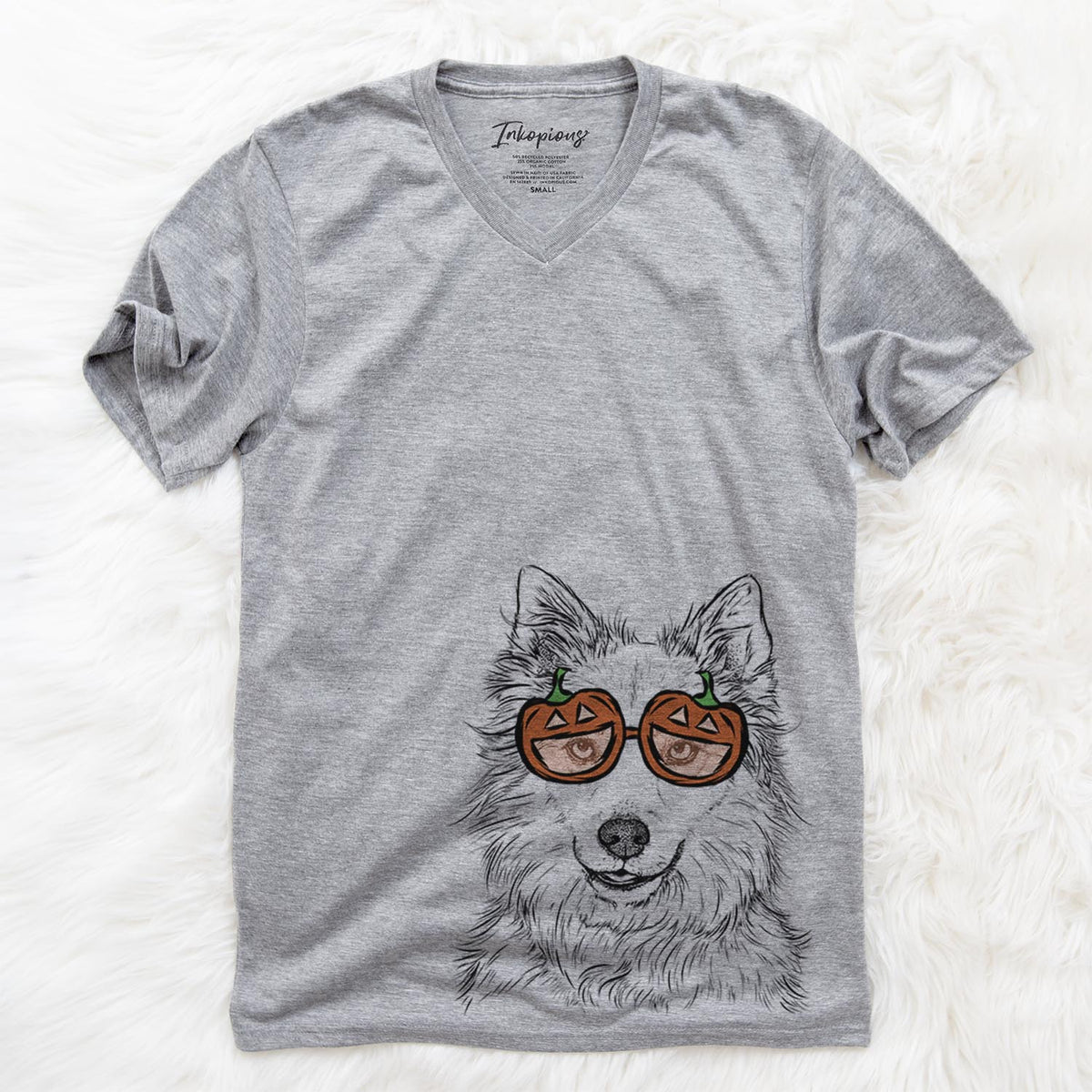 Chia the Samoyed Husky Mix  - Pumpkin Collection