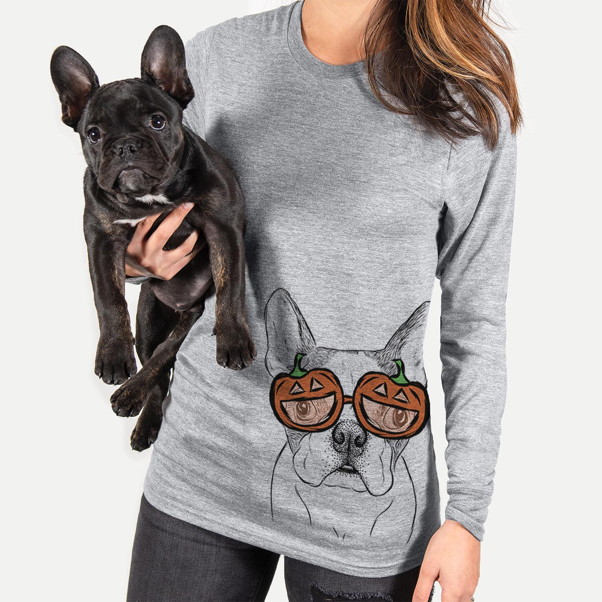 Chocolate Chip the Boston Terrier  - Pumpkin Collection