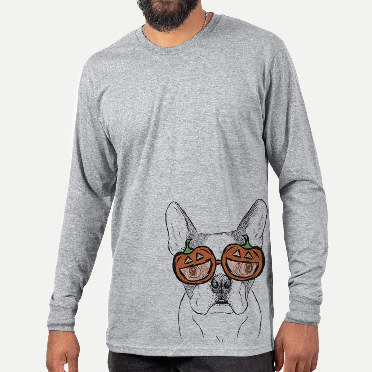 Chocolate Chip the Boston Terrier  - Pumpkin Collection