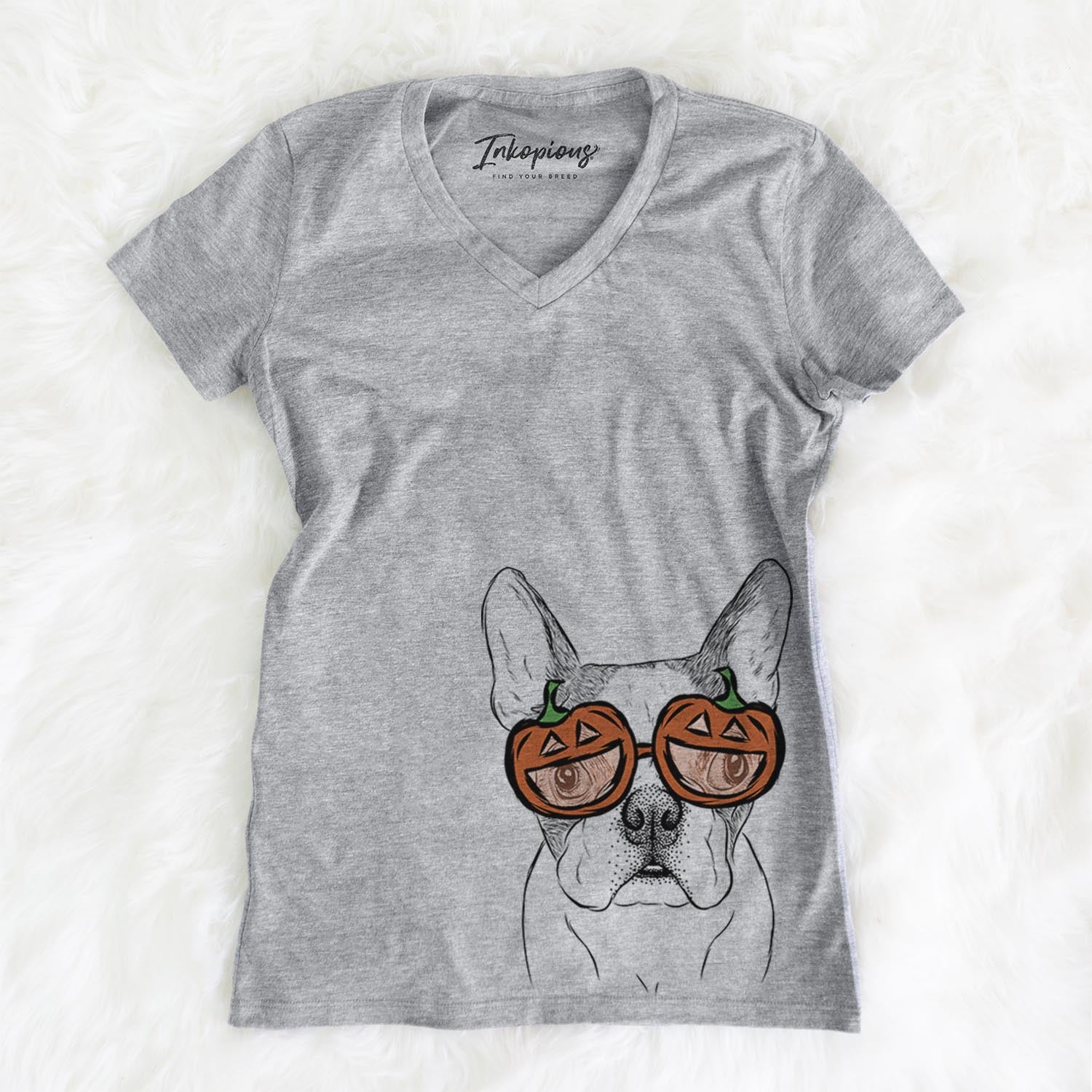 Chocolate Chip the Boston Terrier  - Pumpkin Collection