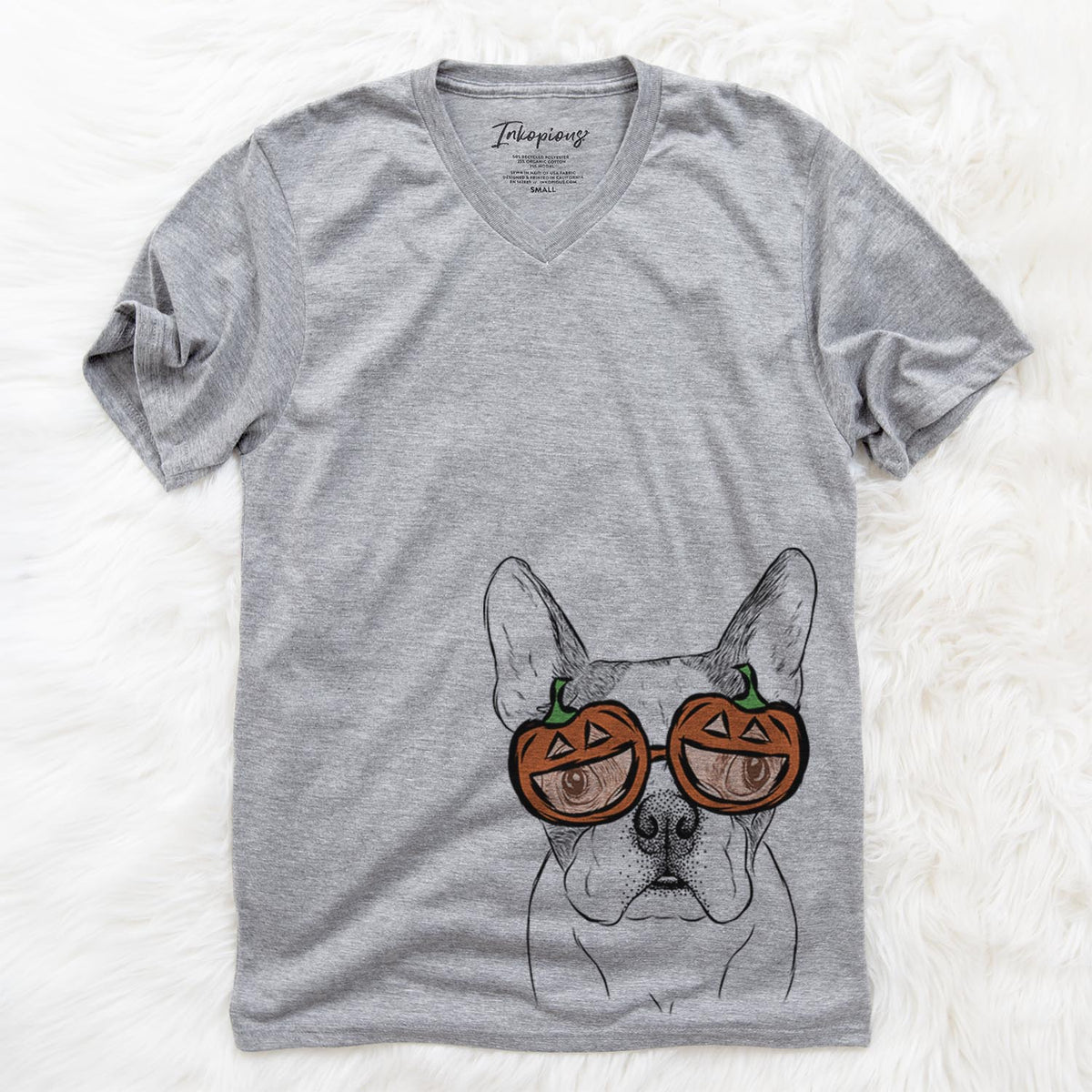 Chocolate Chip the Boston Terrier  - Pumpkin Collection