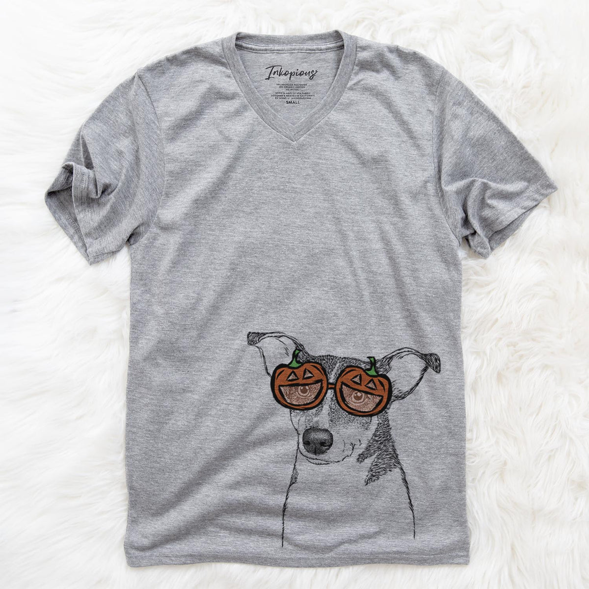 Cleo the Terrier Mix  - Pumpkin Collection