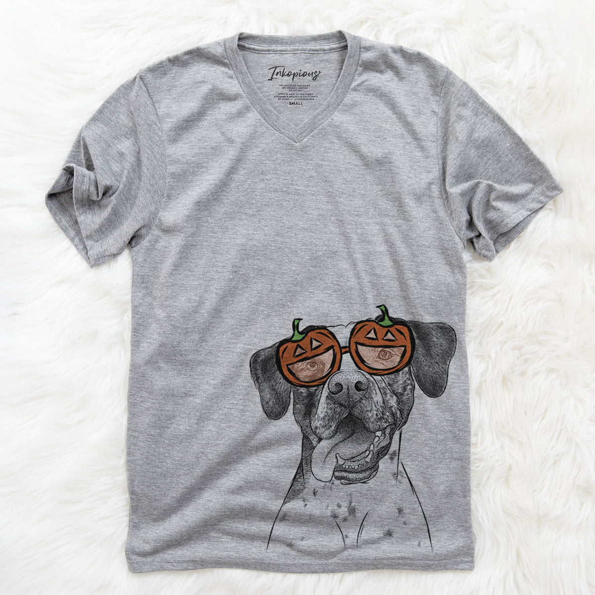 Cola the Catahoula  - Pumpkin Collection