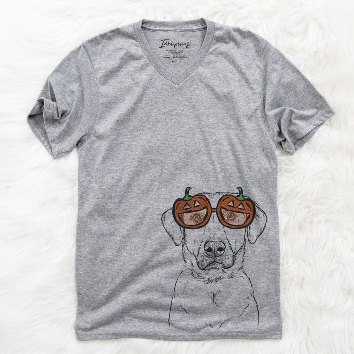 Cooper Griffin the Mixed Breed  - Pumpkin Collection