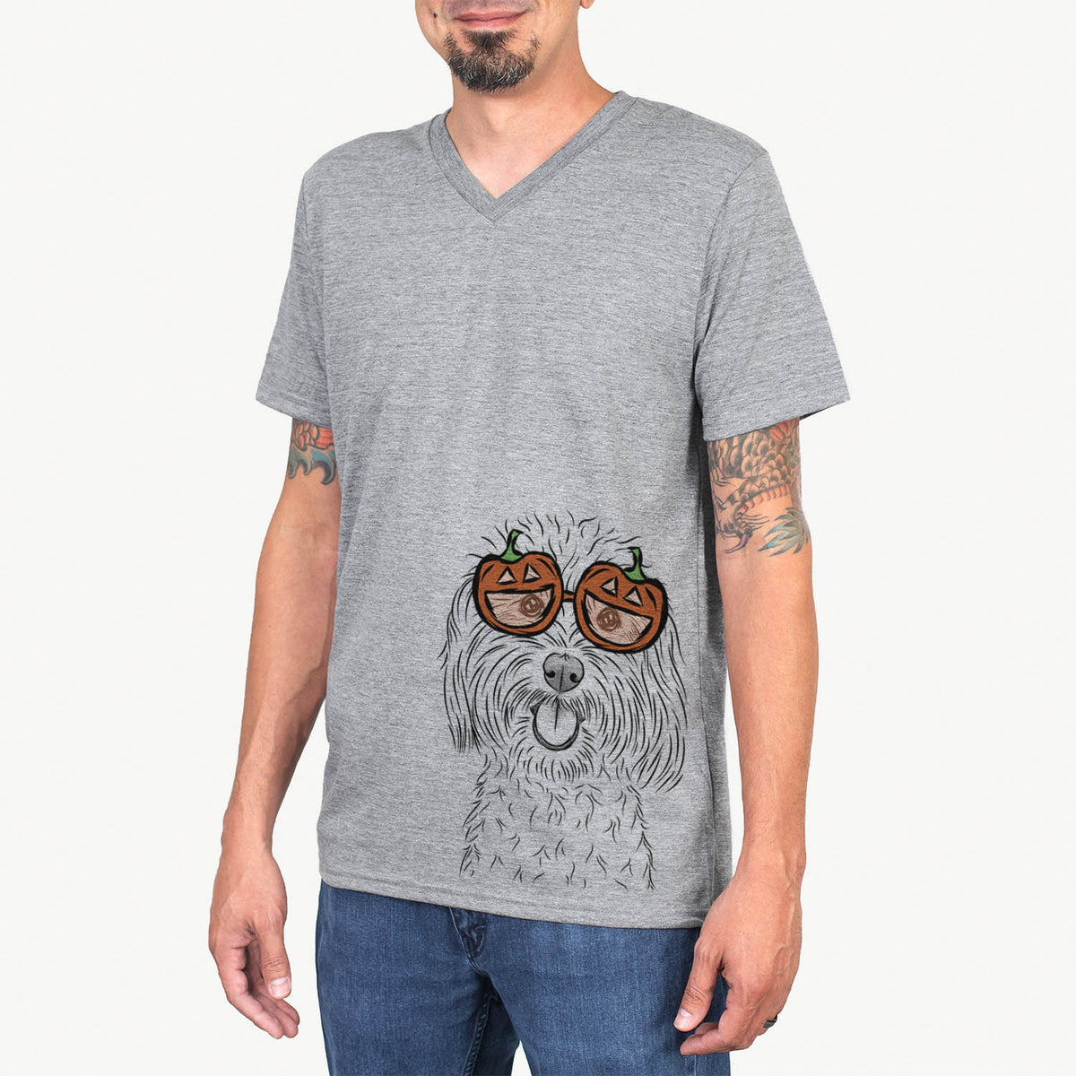 Cuddles the Coton de Tulear  - Pumpkin Collection