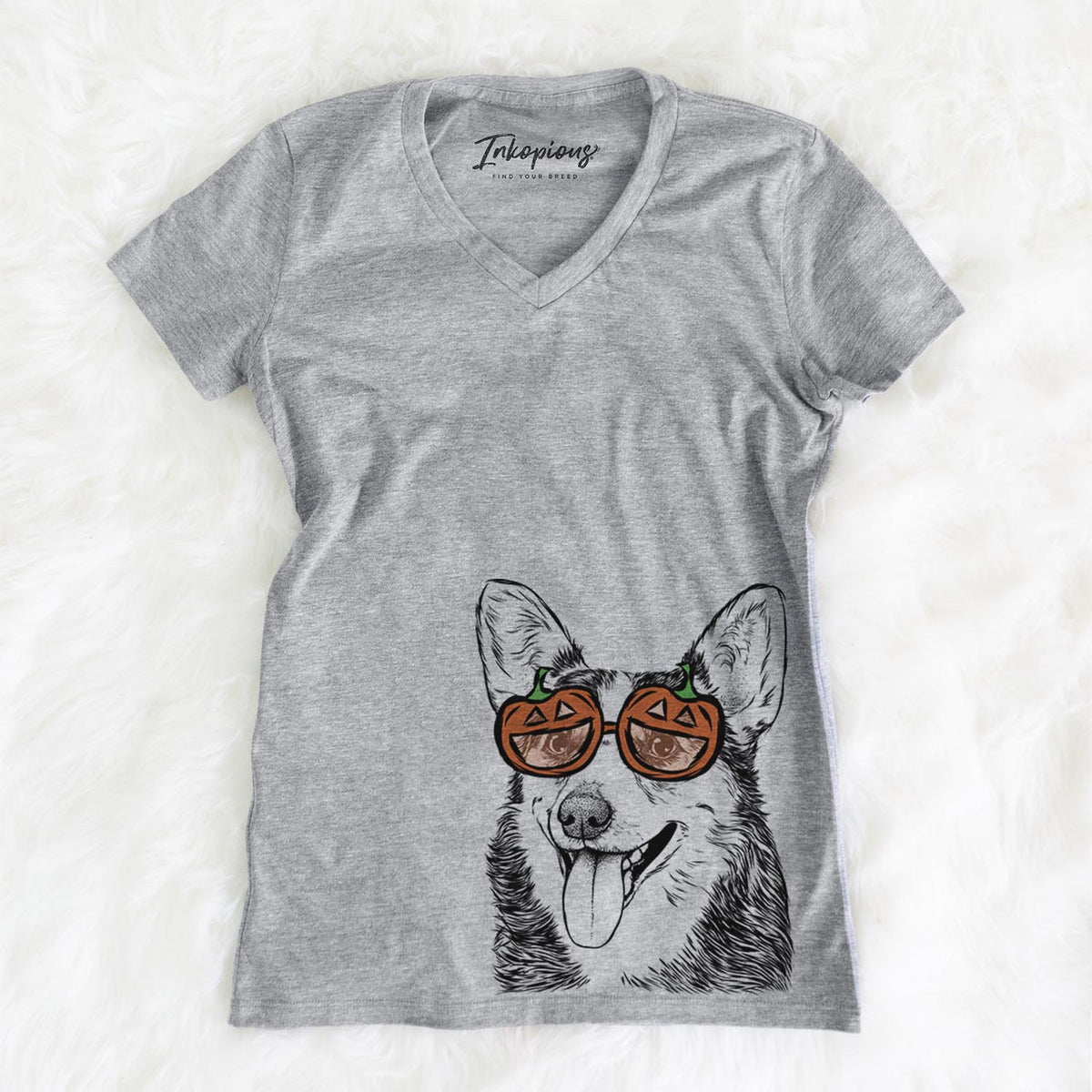 Darma the Corgi  - Pumpkin Collection