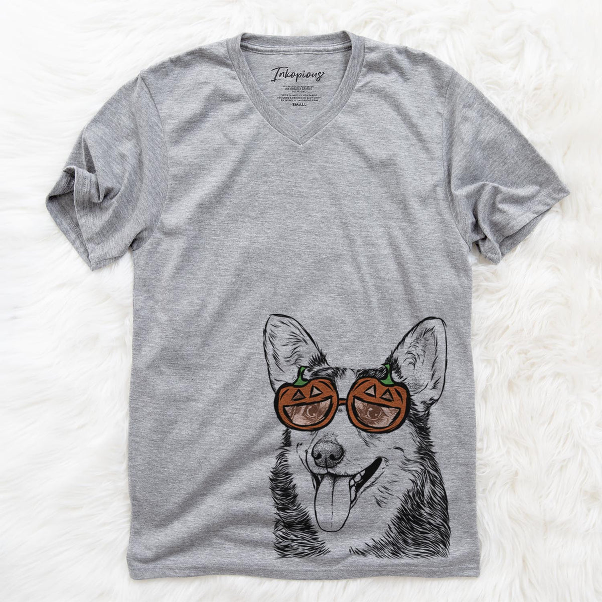 Darma the Corgi  - Pumpkin Collection