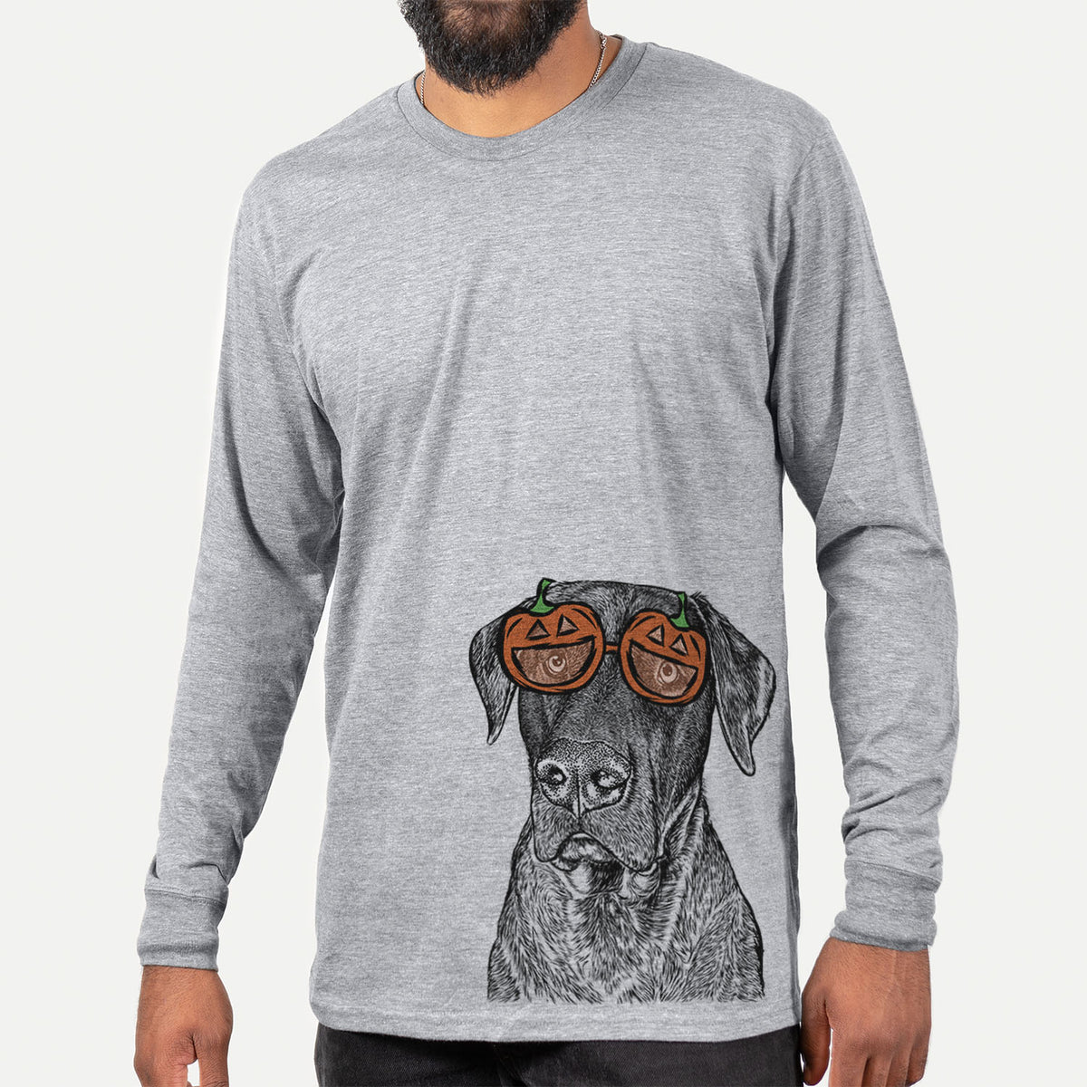 David the Boxador  - Pumpkin Collection