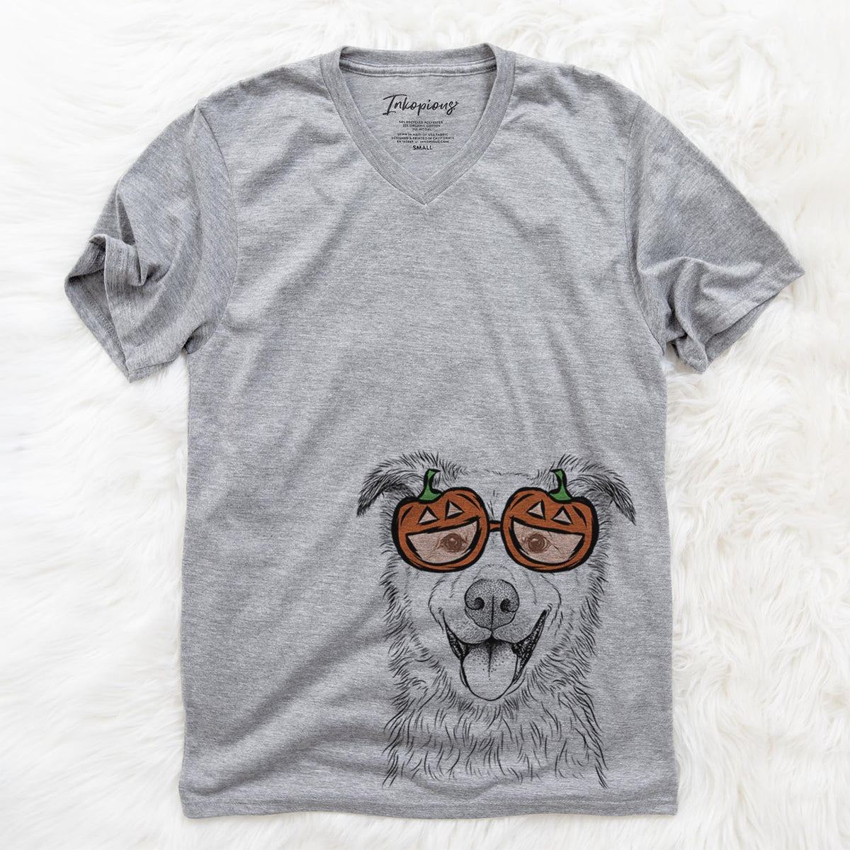 Dawson the Mixed Breed  - Pumpkin Collection