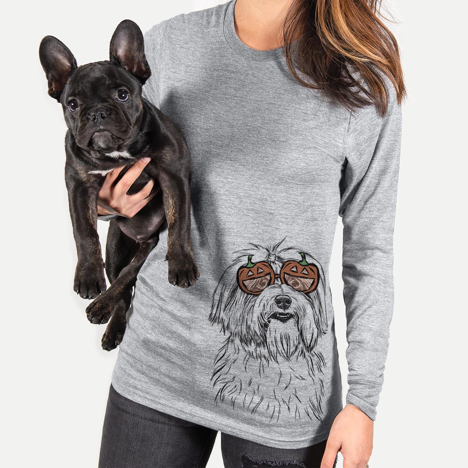 Dooley the Havanese  - Pumpkin Collection