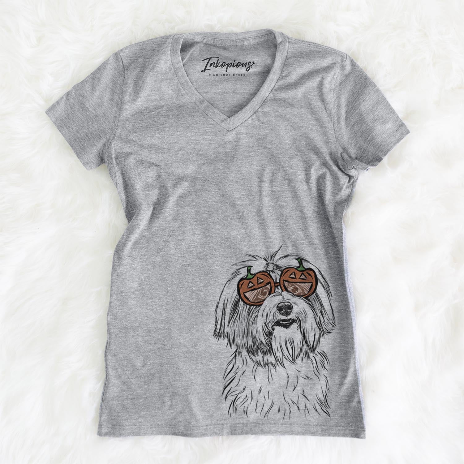 Dooley the Havanese  - Pumpkin Collection