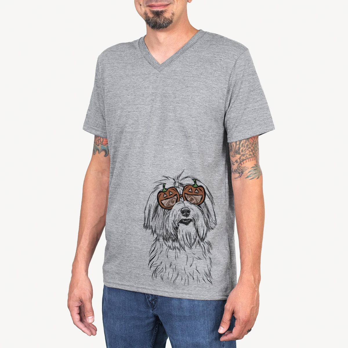 Dooley the Havanese  - Pumpkin Collection