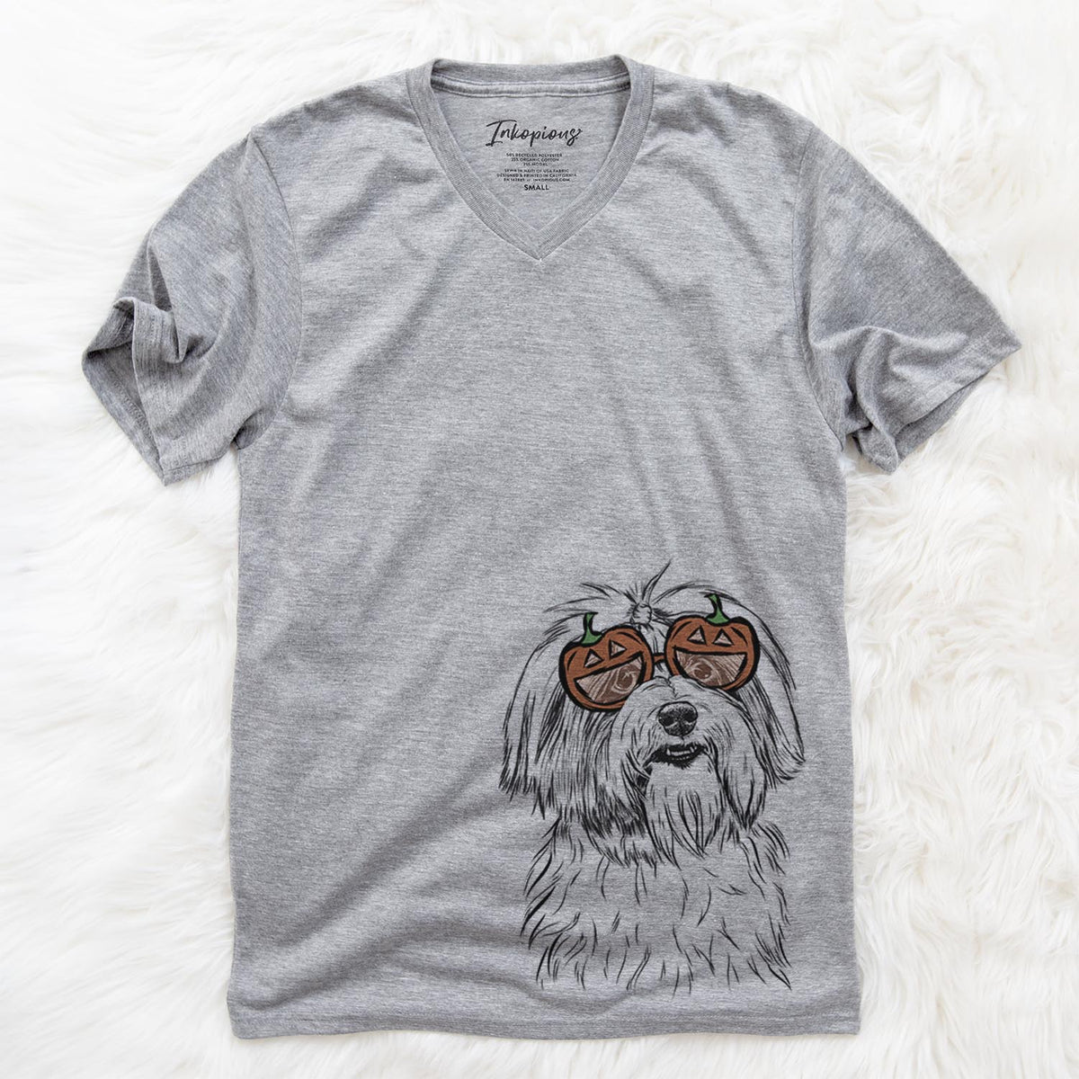 Dooley the Havanese  - Pumpkin Collection