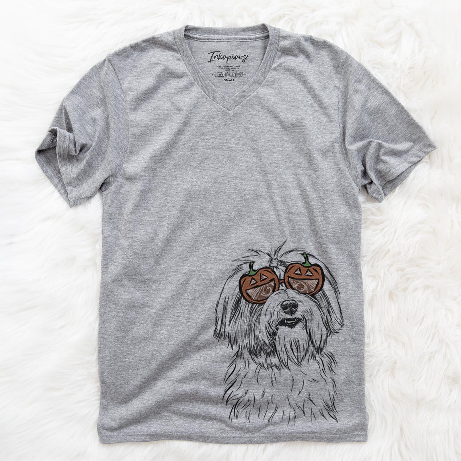 Dooley the Havanese  - Pumpkin Collection