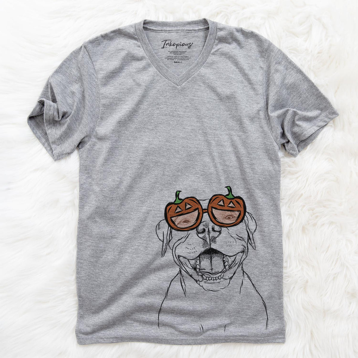 Dutch the Mixed Breed  - Pumpkin Collection