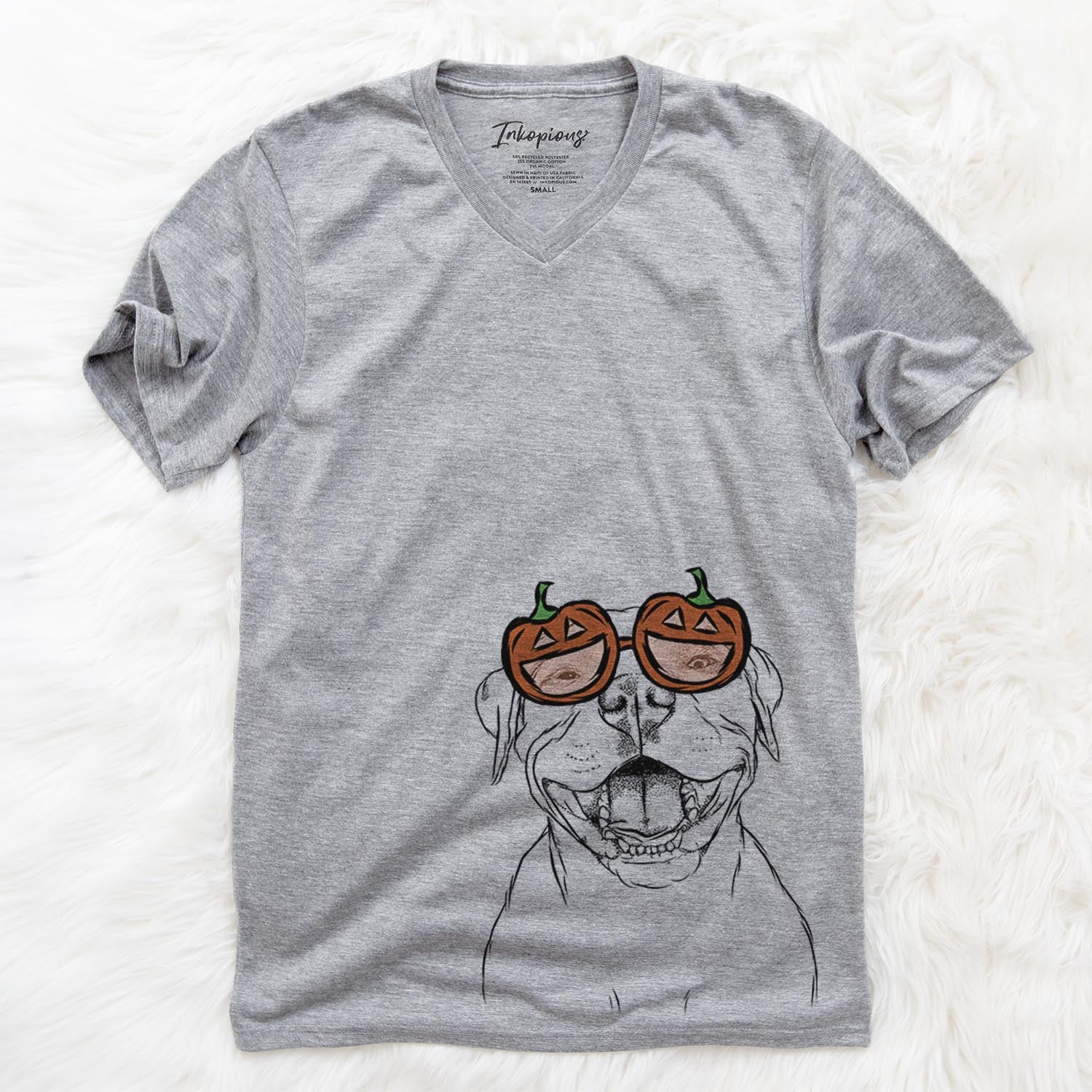 Dutch the Mixed Breed  - Pumpkin Collection