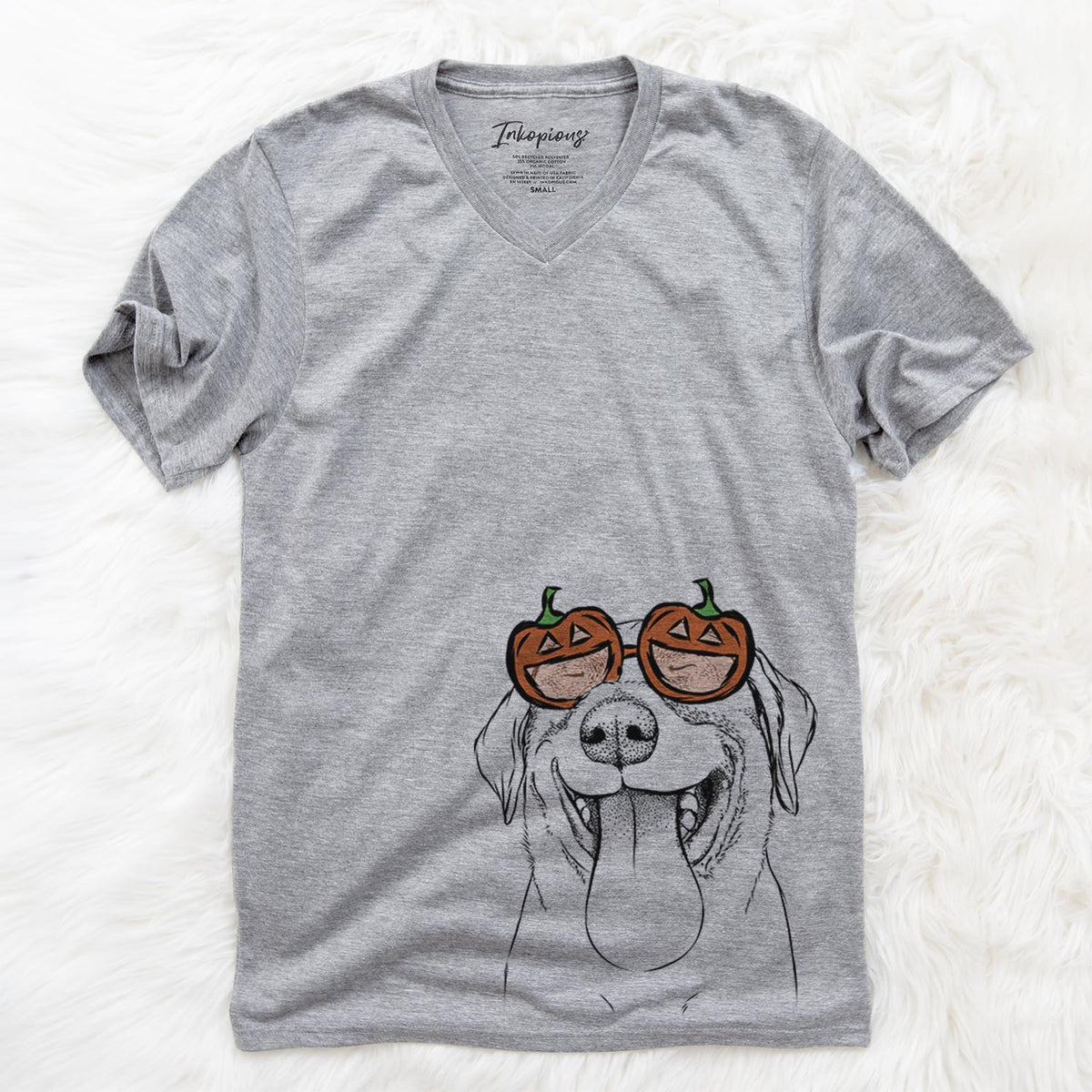 Fig the Labrador Retriever  - Pumpkin Collection