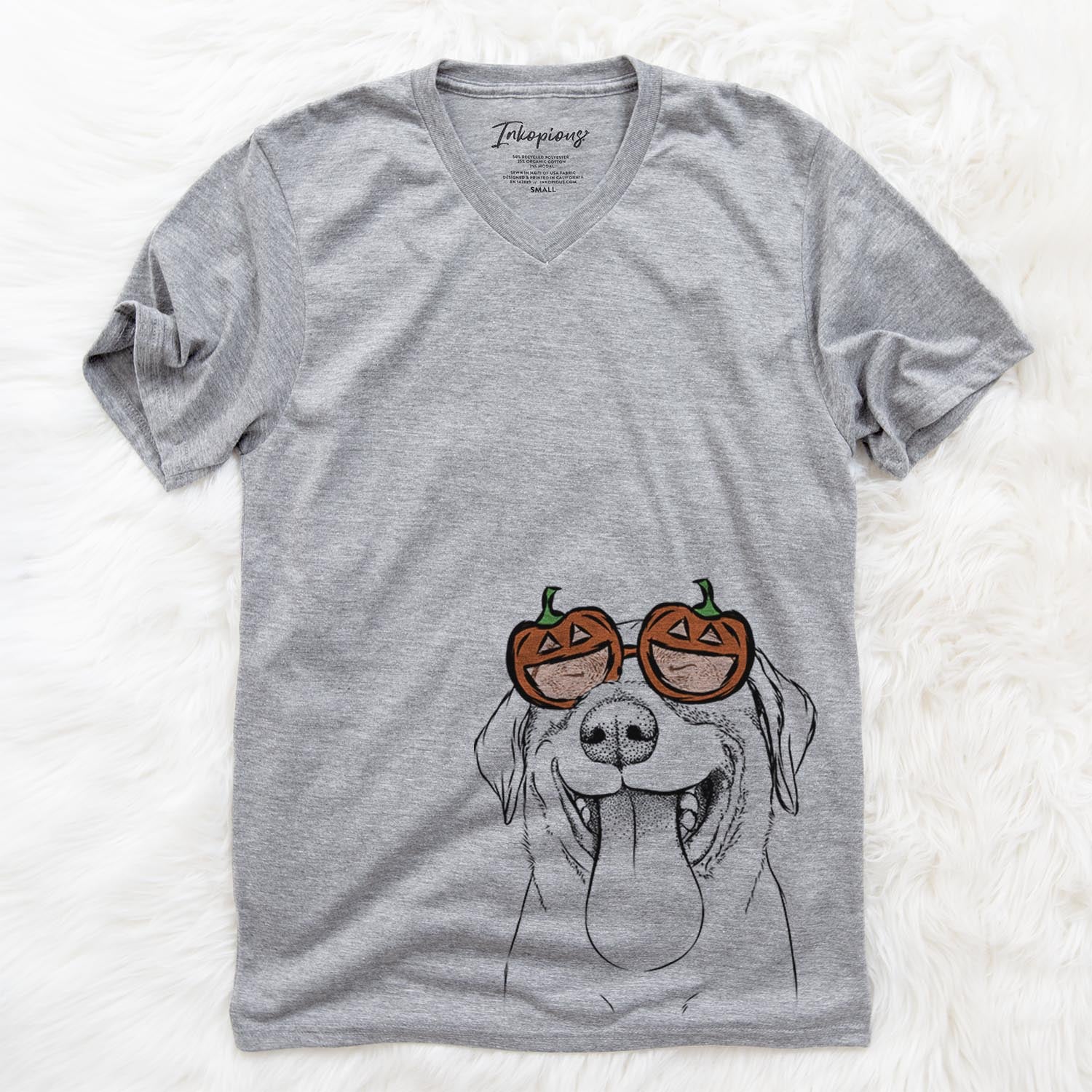 Fig the Labrador Retriever  - Pumpkin Collection