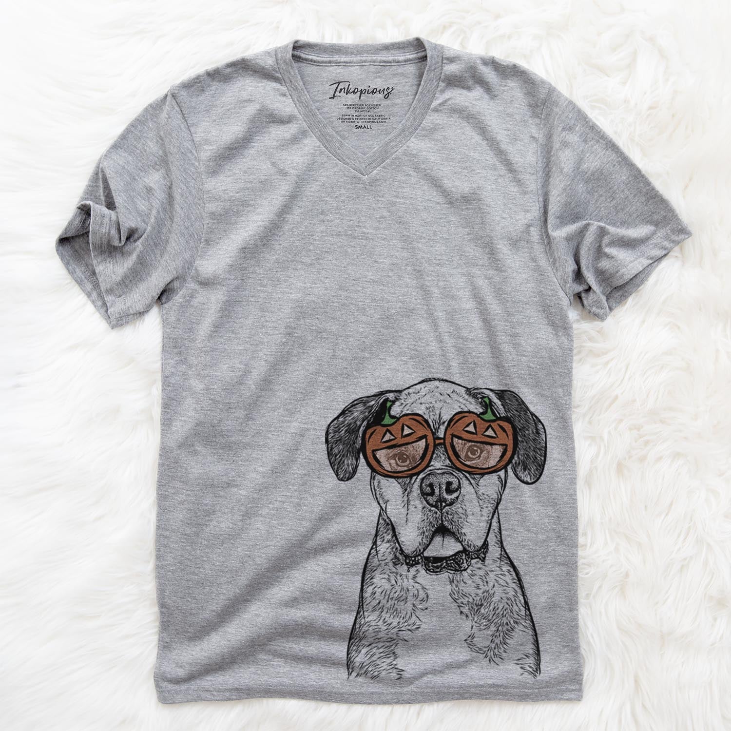 Floydie Bear the Boxer  - Pumpkin Collection