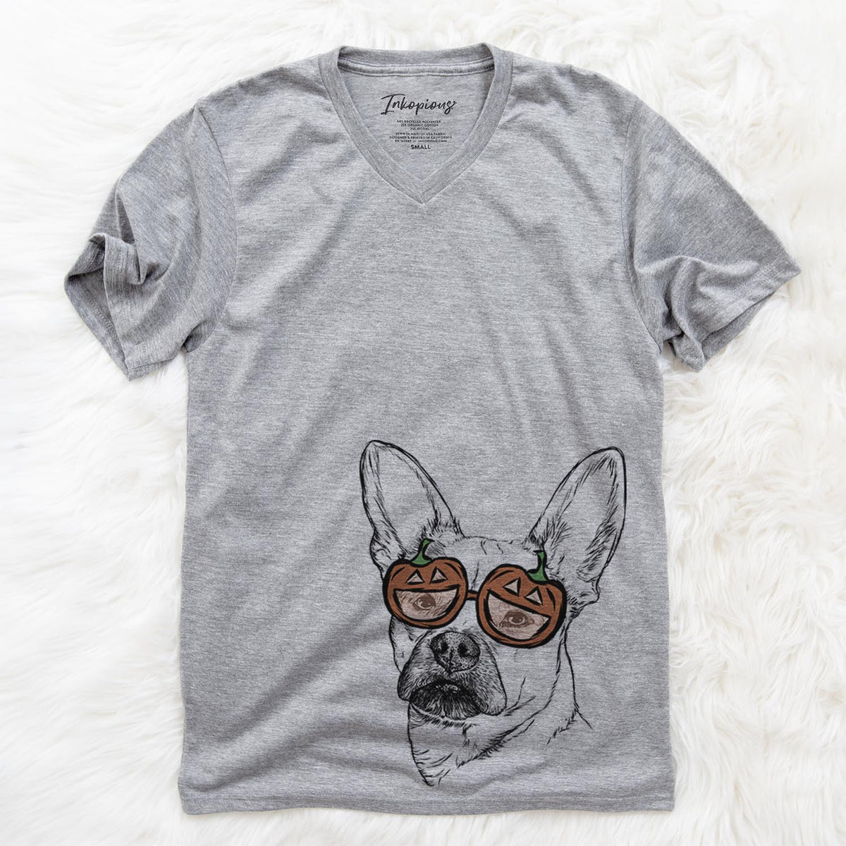 Frankie the Mixed Breed  - Pumpkin Collection