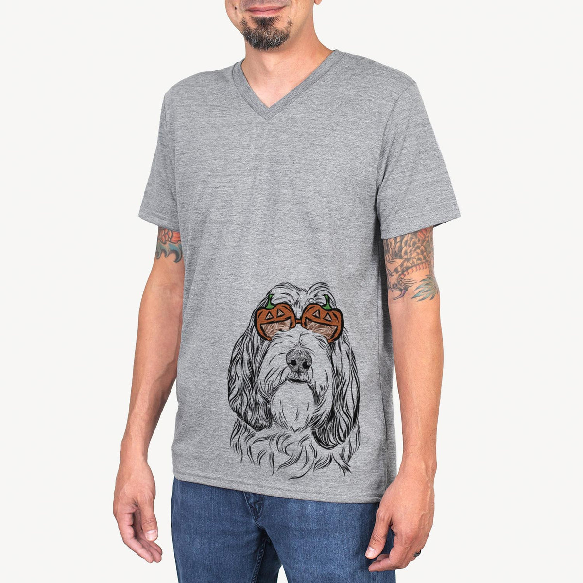 Gerard the Petit Basset Griffon Vendeen  - Pumpkin Collection