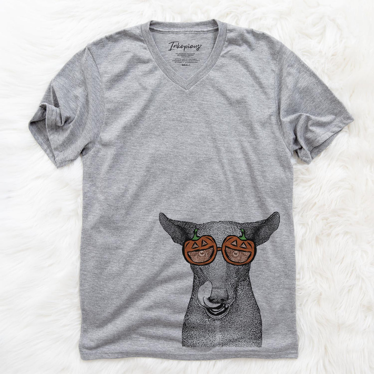 Gidget the Mexican Street Dog  - Pumpkin Collection