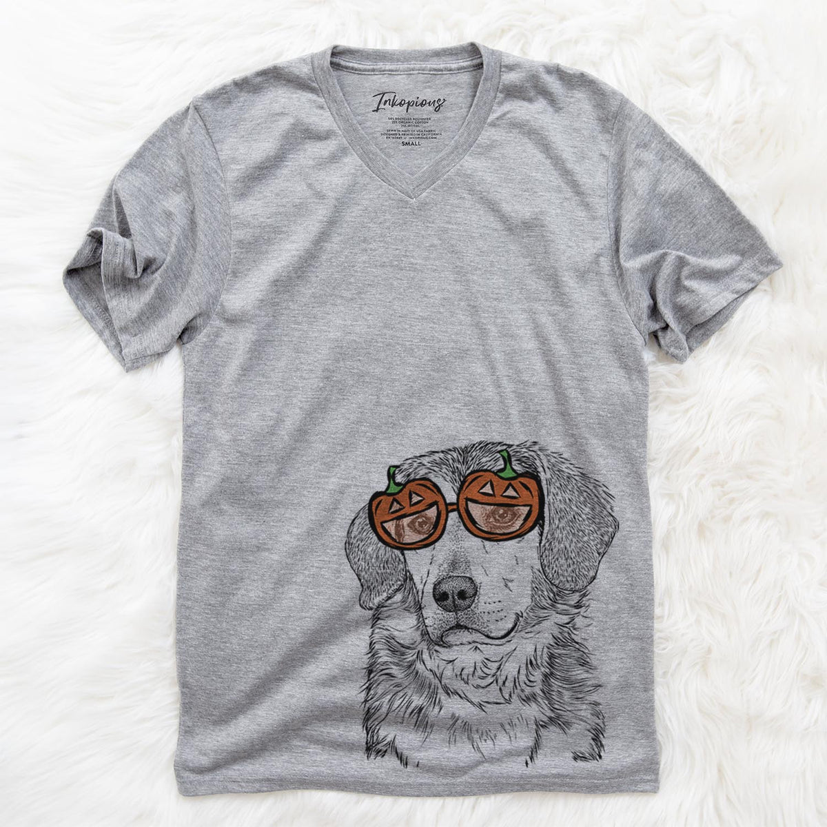 Gunner the Mixed Breed  - Pumpkin Collection