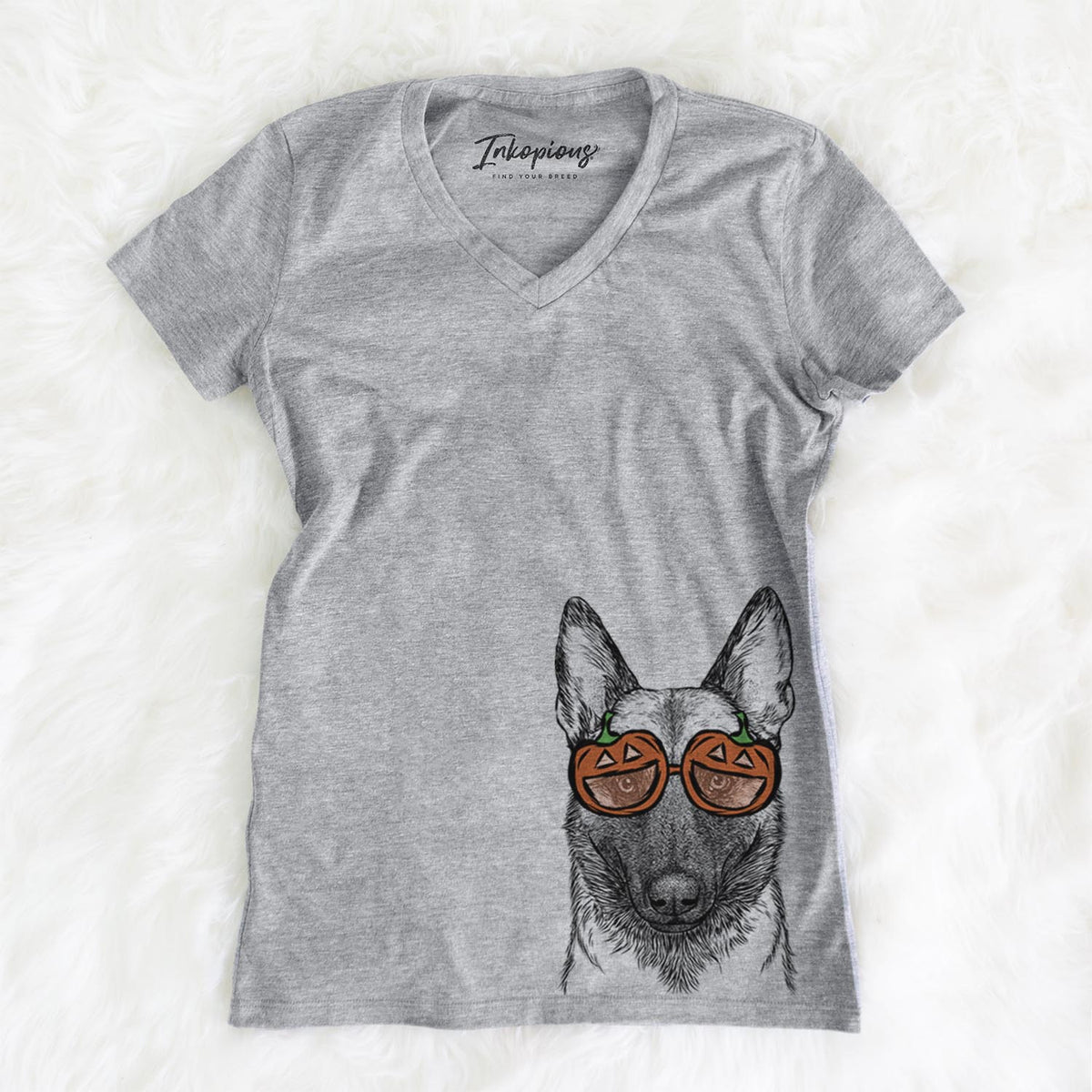 Gunther the Belgian Malinois  - Pumpkin Collection