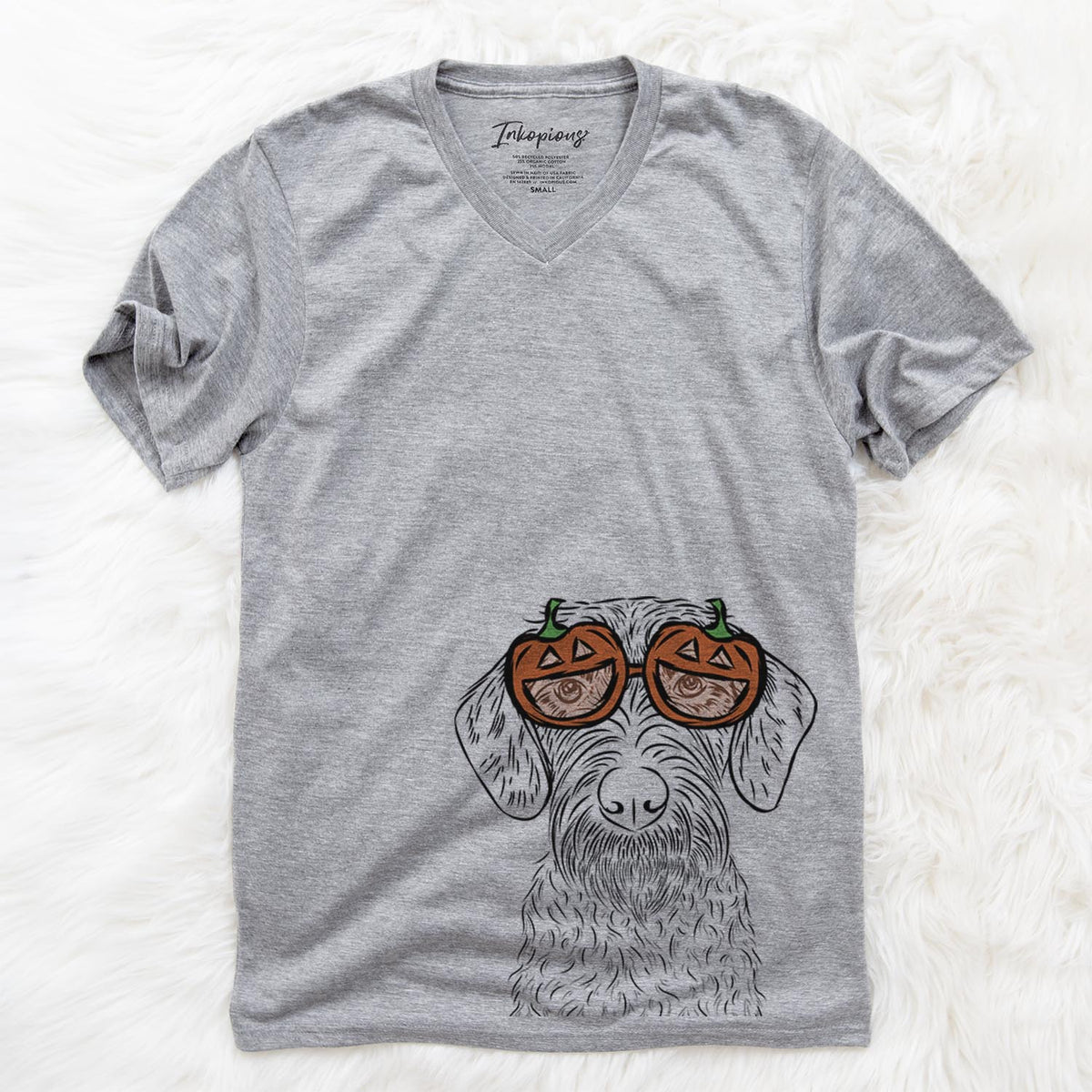 Gus the German Wirehaired Pointer  - Pumpkin Collection