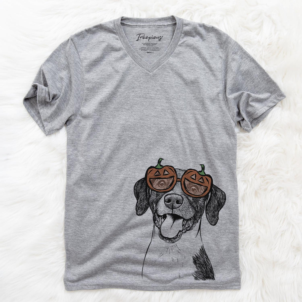 Harper the Mixed Breed  - Pumpkin Collection