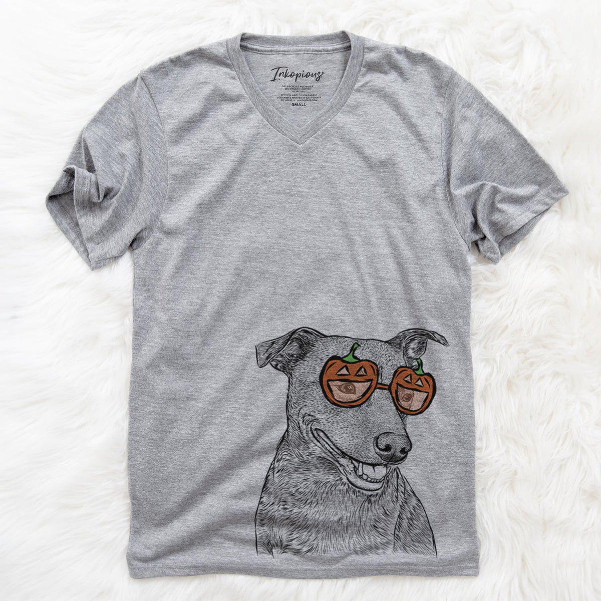 Honey the Lab Pit Mix  - Pumpkin Collection