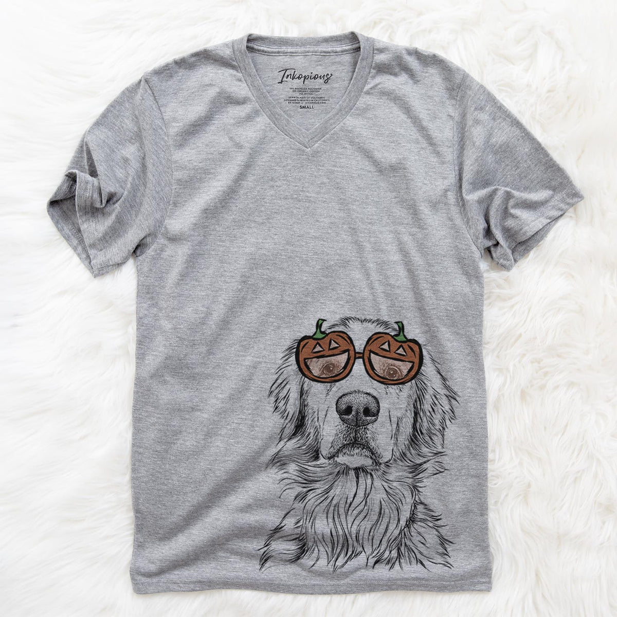 Jake-aroni the Golden Retriever  - Pumpkin Collection