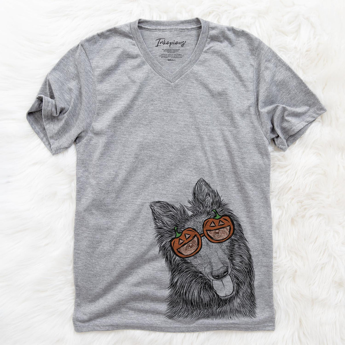 Jaxx the Belgian Tervuren  - Pumpkin Collection