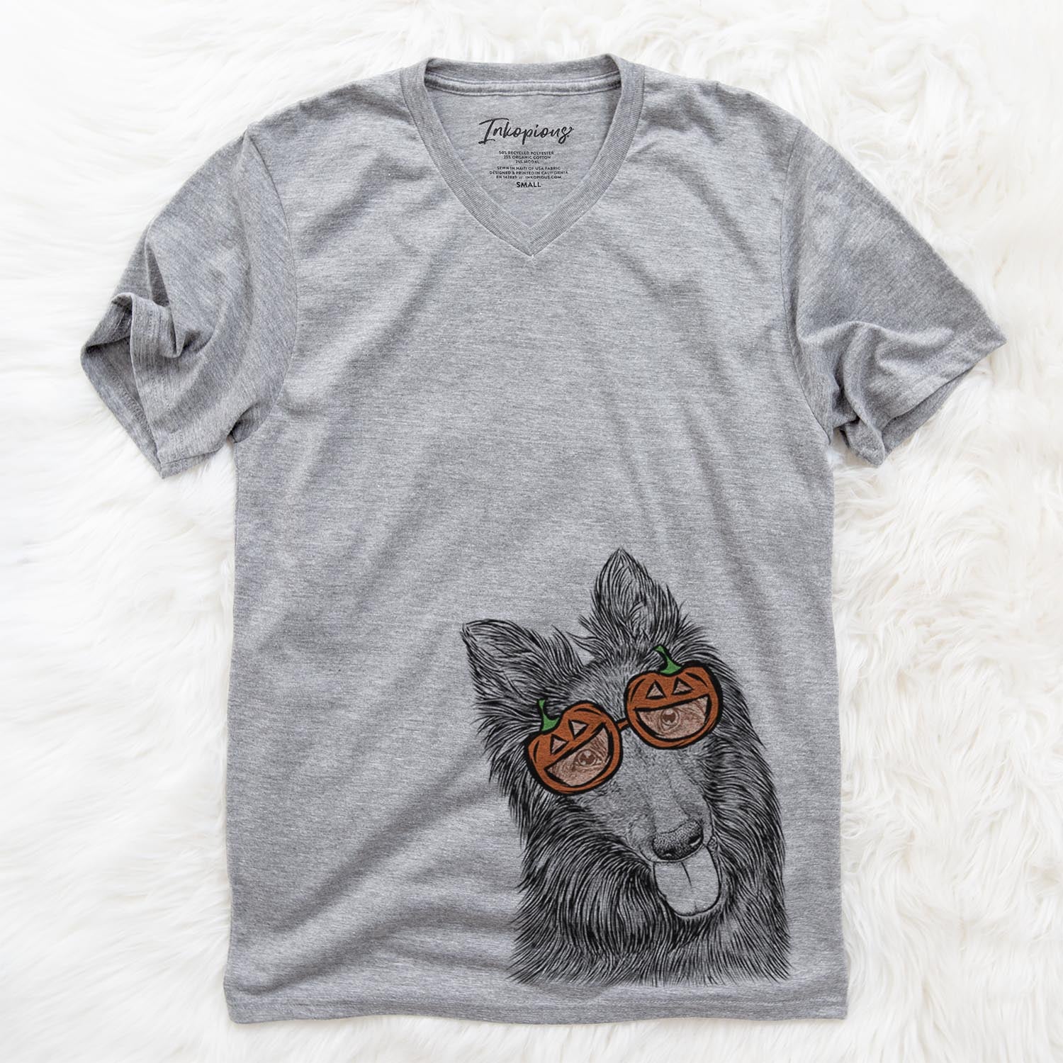 Jaxx the Belgian Tervuren  - Pumpkin Collection