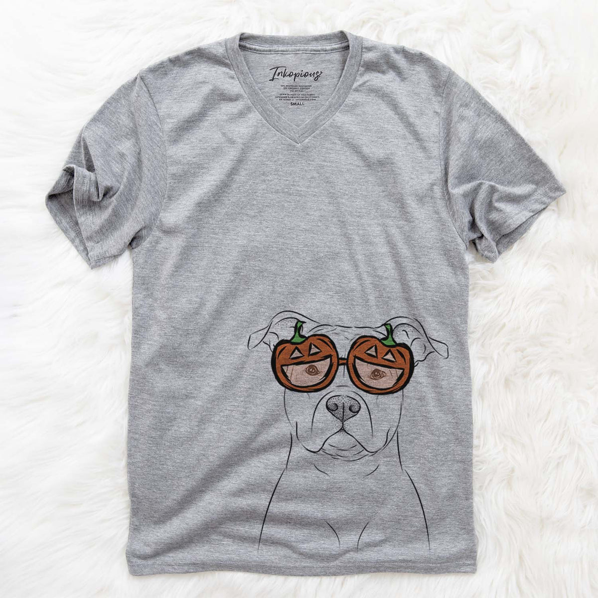 Jethro the American Staffordshire Terrier  - Pumpkin Collection