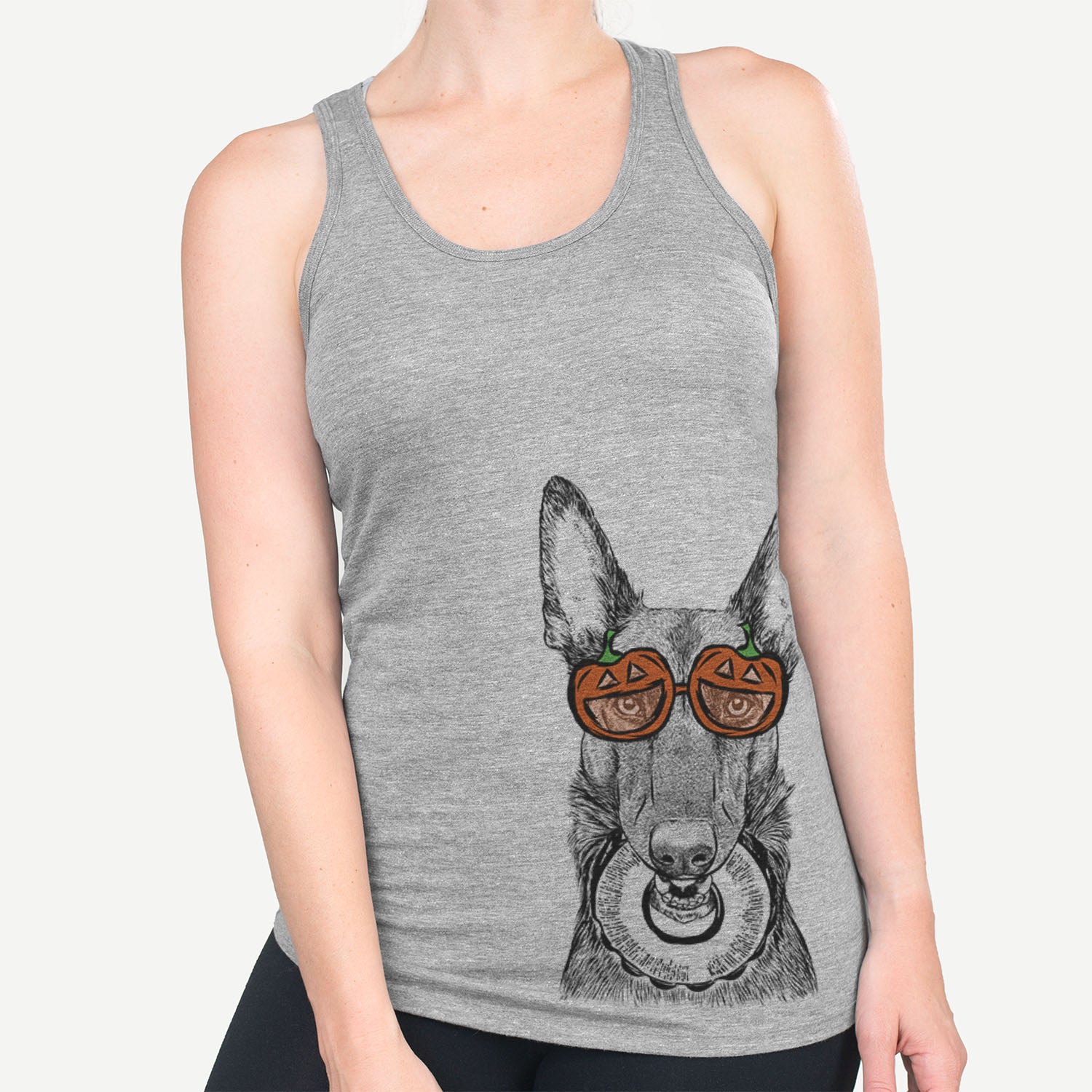 Juno the Belgian Malinois  - Pumpkin Collection