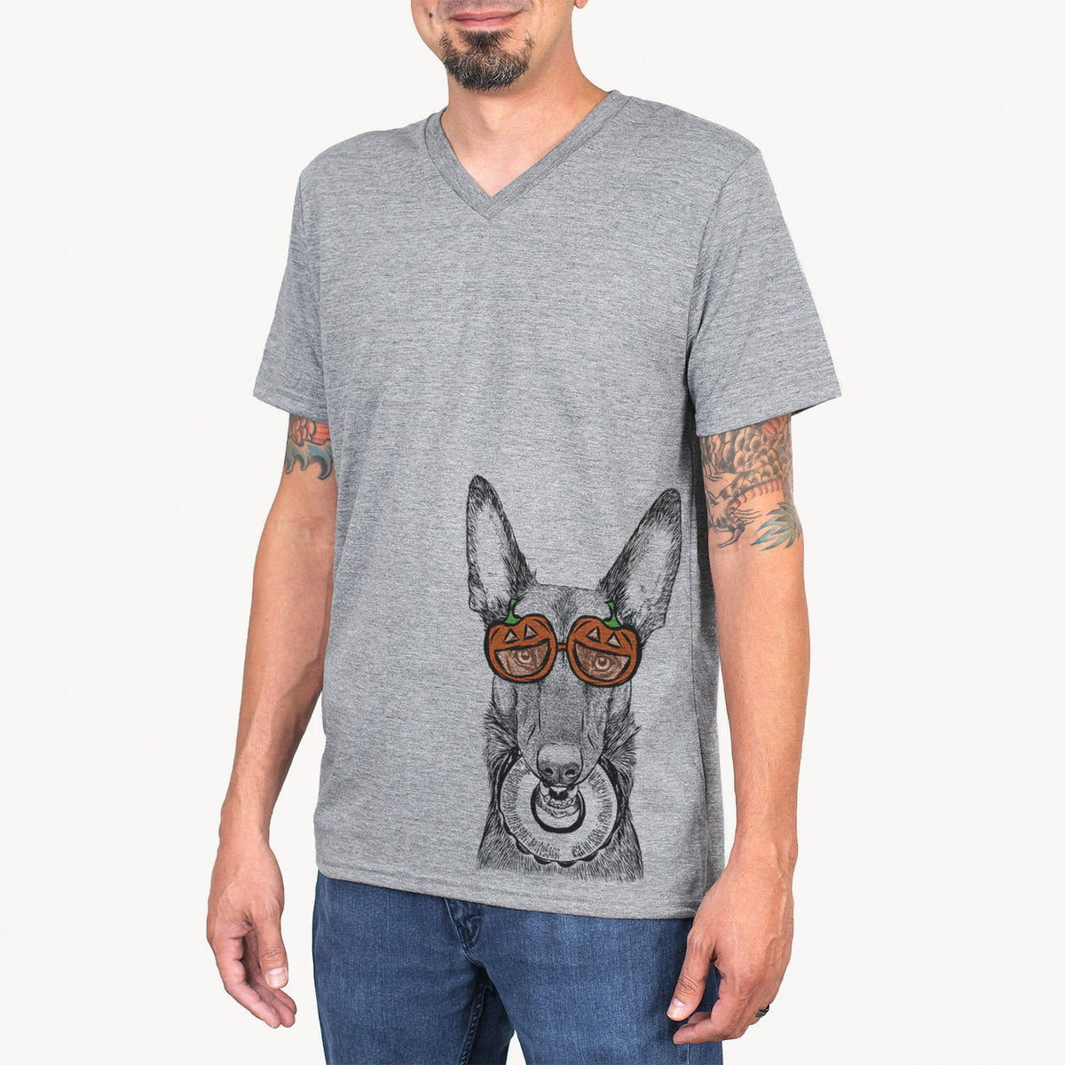 Juno the Belgian Malinois  - Pumpkin Collection