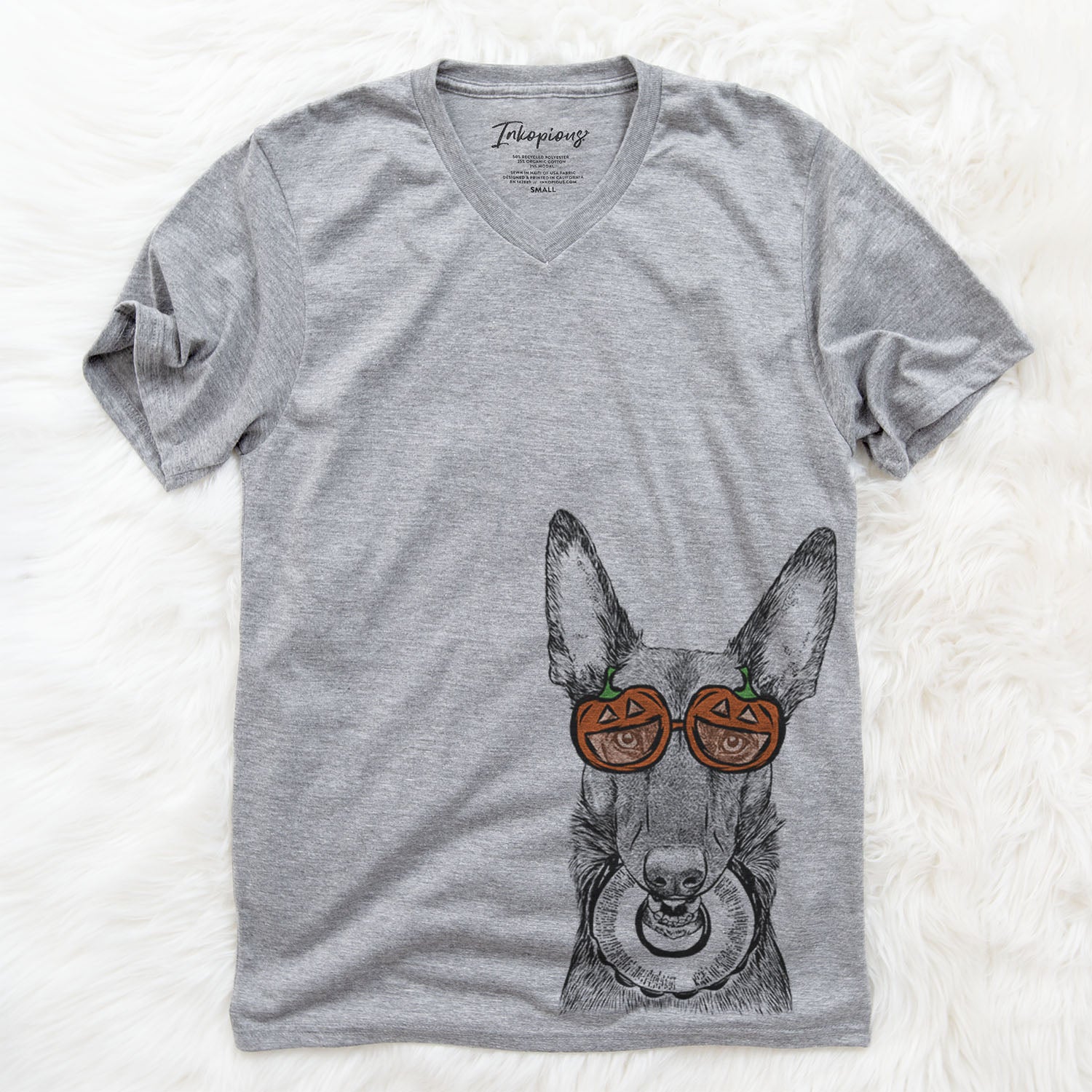 Juno the Belgian Malinois  - Pumpkin Collection