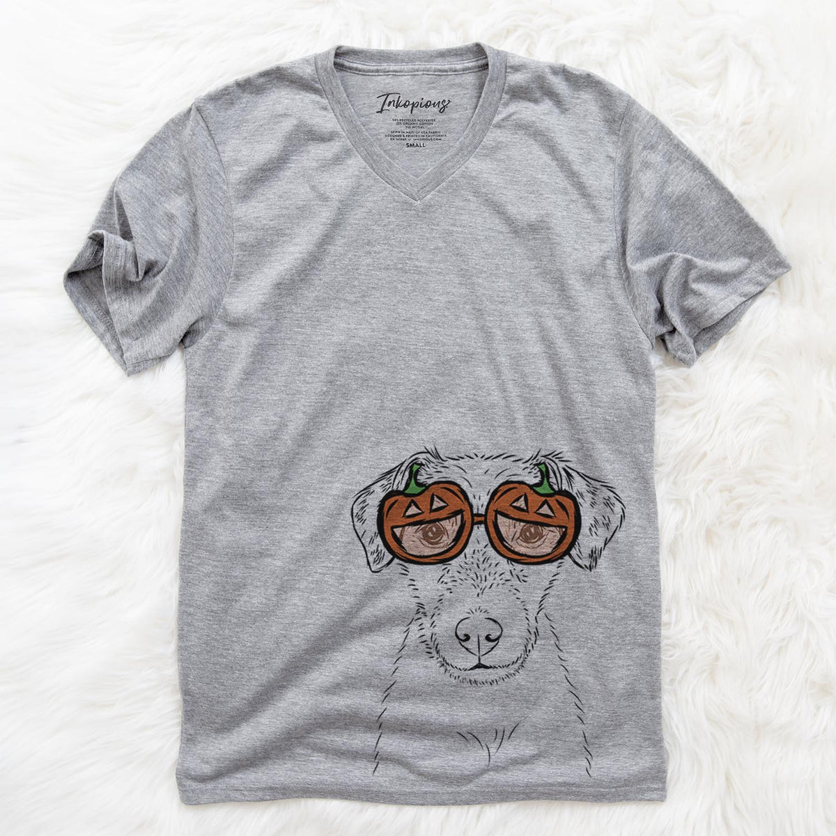 Kozmo the Jack Russell Terrier  - Pumpkin Collection