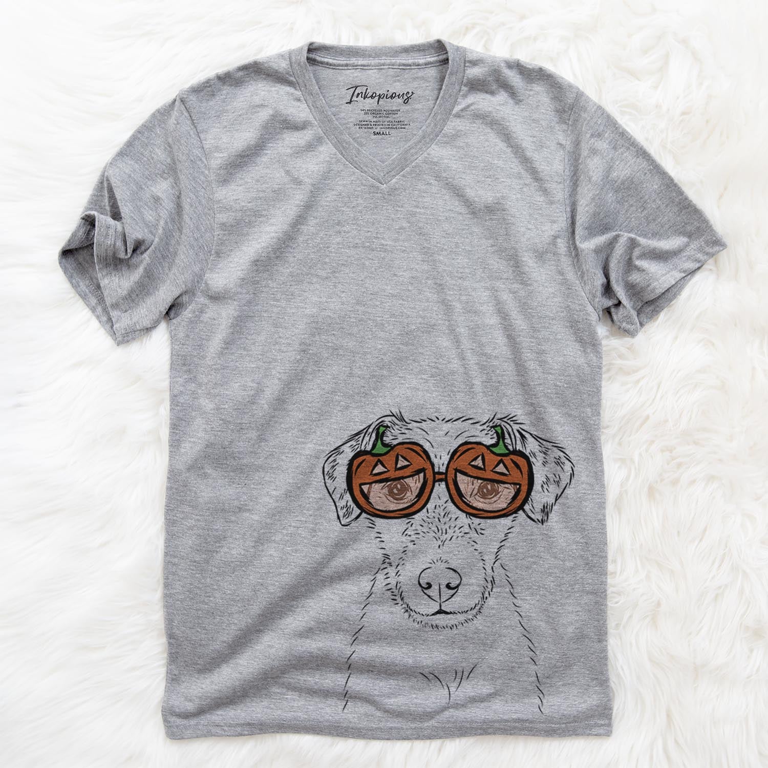 Kozmo the Jack Russell Terrier  - Pumpkin Collection