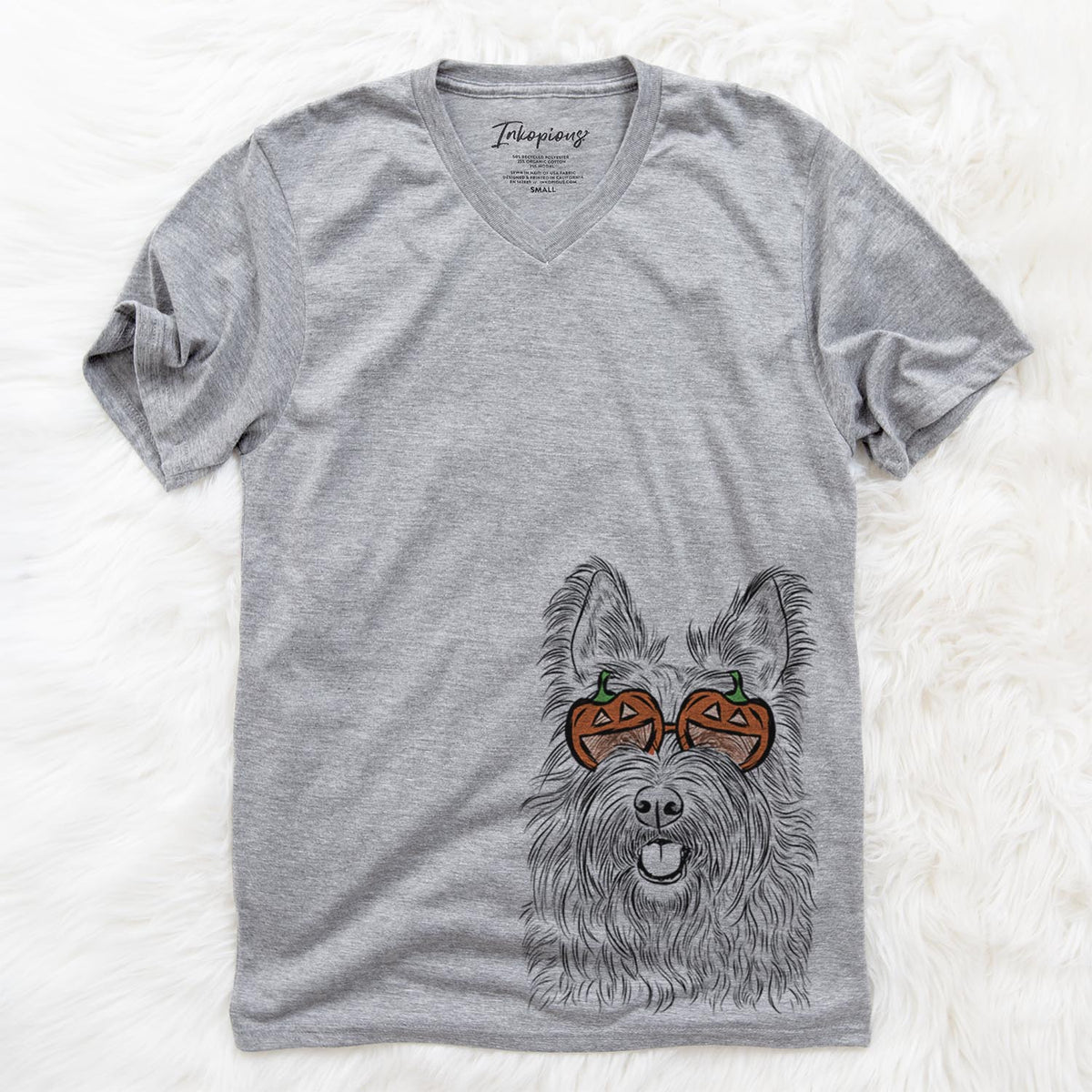 Kyros the Berger Picard  - Pumpkin Collection